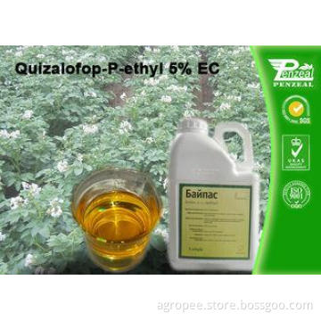 Quizalofop-P-Ethyl 5% EC Grass Selective Herbicides Strong